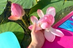 Астраханские власти в 2025г отметили смещение акцента с рыбалки на другие виды туризма