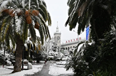 Более 17 мм снега выпало за сутки в Сочи - власти