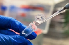 Шесть случаев туберкулеза выявлено в новосибирской школе - Минздрав региона