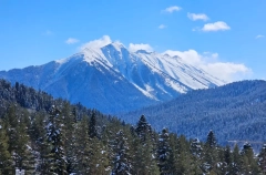Турмаршрут в одно из горных ущелий временно закрыли в Тебердинском нацпарке КЧР