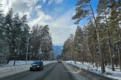 Ленинградская и Новосибирская области стали лидерами в развитии автотуризма