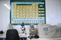 Ученые-химики могут претендовать на премию РУДН в 2 млн рублей