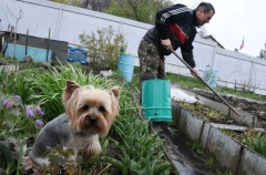 Господдержка садоводства в Карачаево-Черкесии в 2025г выросла в 2,6 раза