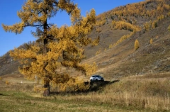 Четверть путешествий по России в 2025 году пришлась на межсезонье