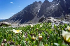 Туротрасль в России вошла в тройку самых быстрорастущих