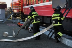 Пожарные поезда задействованы на тушении пожаров в районе трех станций Забайкалья