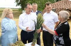 Краснодарский край раньше среднемноголетних сроков приступает к уборке зерна