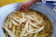 Женьшень: лечебные свойства, польза и вред для здоровья мужчин и женщин