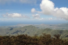 Авиакомпания Conviasa возобновила рейсы с российскими туристами в Венесуэлу