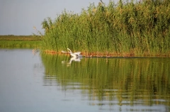 Астраханская область получила 2 млрд рублей на экологические мероприятия