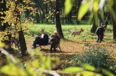 "Бабье лето" вероятно придет в Москву в начале сентября - Вильфанд