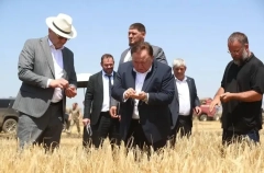 Валовой сбор зерна в Ингушетии в 2025г вырос более чем в 2,5 раза