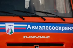 Центр для борьбы с пожарами в лесах четырех регионов хотят создать в Приангарье