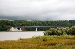 Пул инвесторов формируют для МТОР на острове Большой Уссурийский - губернатор