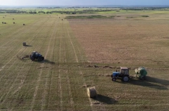 Ульяновская область до 2036г намерена ввести в сельхозоборт 140 га земель