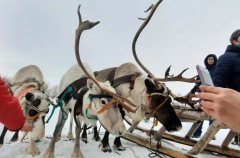 Саами Мурманской области компенсируют расходы на оздоровление в санатории