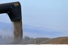 Сбор зерна в РФ на сегодня превысил 140 млн т в бункерном весе - вице-премьер Патрушев