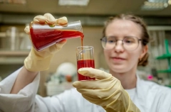 Нижегородские ученые разработали нанокомплекс для профилактики дефицита селена