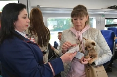 Электрички планируют включить в единую систему оплаты общественного транспорта Петербурга