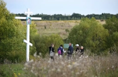 В память о павших воинах на Куликовом поле высадят саженцы дуба