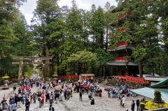 Посольство Японии из-за роста турпотока откроет в России визовый центр