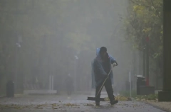 Число дворников в Петербурге увеличено до 6,5 тыс. - Смольный