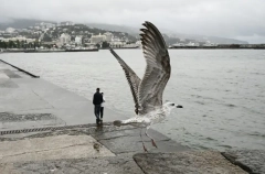 Сильные осадки и штормовой ветер ожидаются в Крыму в среду