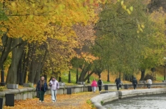 Теплая, характерная для конца сентября погода ожидается в Москве в выходные - Вильфанд