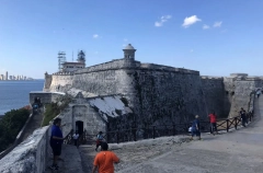 Посольство РФ предупредило о росте заражений лихорадкой чикунгунья и денге на Кубе