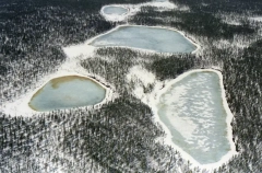 Шесть заказников и памятников природы создадут в ХМАО к 2036 году