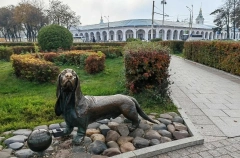 Турпоток в Костромскую область в 2025 году вырос на 16%