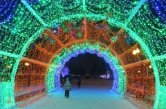 Стартовал зимний сезон фестиваля "Усадьбы Москвы"