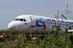 Самолет "Уральских авиалиний" после столкновения с птицами теоретически мог продолжить полет, но без гарантий - отчет МАК