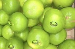 Свити: что за фрукт? Польза и вред для организма человека