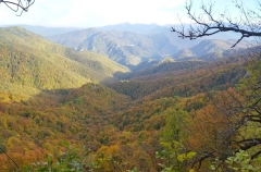 Госдума планирует включить Адыгею в эксперимент по легализации гостевых домов