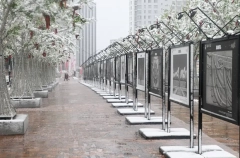 Мокрый снег ожидается в Московском регионе в выходные