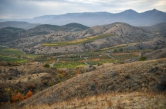 Сроки контрактов с Минобороны для получения бесплатной земли уточнили в Крыму