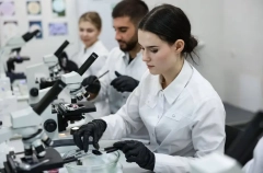 Ученые СКФУ выиграли 12 грантов на исследования в 2026-2027 годах