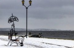 Форелевод создаст в столице Карелии музей-аквариум с одной из крупнейших рыб в мире