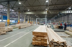 Деревянные девятиэтажки могут появиться в РФ после тестирования зданий пониже