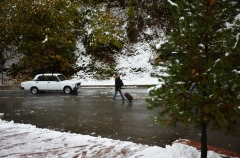 Парковки в Сочи станут бесплатными в новогодние праздники