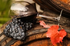 Ростовская область в мае 2026 года проведет винные ярмарки