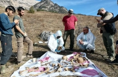 Почти 200 артефактов найдены при раскопках в башенном комплексе в Ингушетии