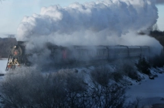 "Купеческий" ретропоезд начнет туры в удмуртский Сарапул в середине февраля