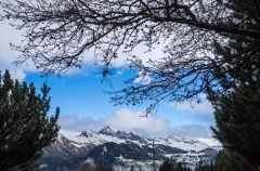 Не менее 10 человек погибли при пожаре в баре на горнолыжном курорте в Швейцарии