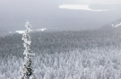 Черная скала стала самым посещаемым местом Таганая в новогодние каникулы