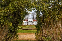 Пострадавшие при пожаре стулья вернулись в усадьбу Римского-Корсакова