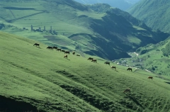 Найденные в горах орудия каменотёсов исследуют в Ингушетии