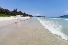 Продажи пакетных туров начали восстанавливаться после резкого падения 28 февраля