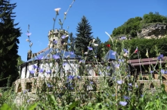 Бювет с нарзаном у "Замка коварства и любви" в Кисловодске могут открыть в 2026г